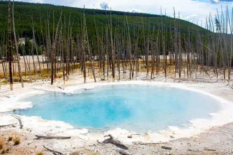 visiter Yellowstone