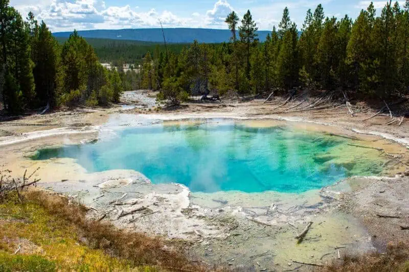 visiter Yellowstone