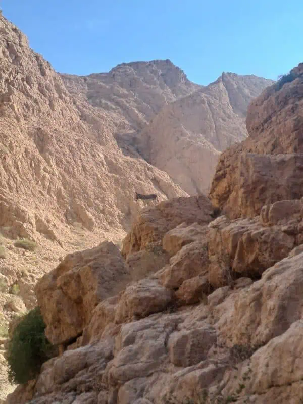 les plus beaux wadis d'Oman